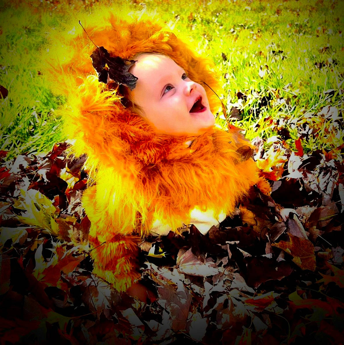 Luka joined the competition — help win amazing prizes! art, autumn, deciduous, flash_photography, fun, fur, grass, happy, landscape, natural_landscape, orange, people_in_nature, person, petal, plant, portrait, portrait_photography, smile, tints_and_shades, toddler