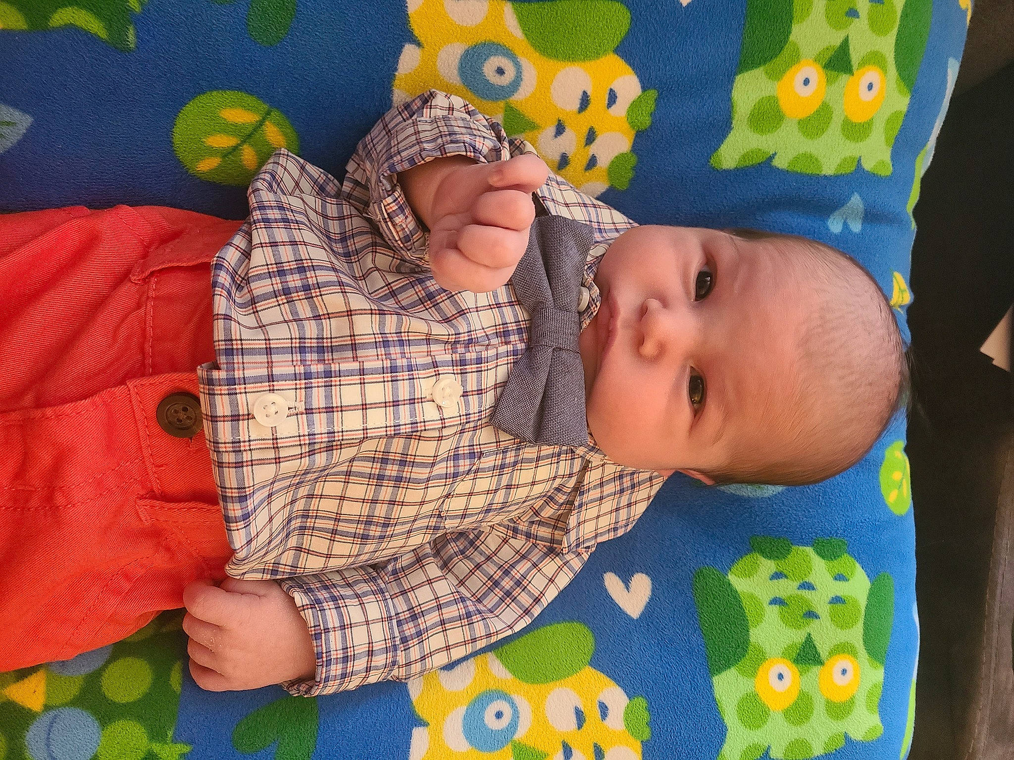 Landon is registered to the contest to win money with this photo: baby, baby_toddler_clothing, blue, cheek, child, comfort, eye, fun, green, head, linens, mouth, pattern, people, person, play, product, sleeve, textile, toddler