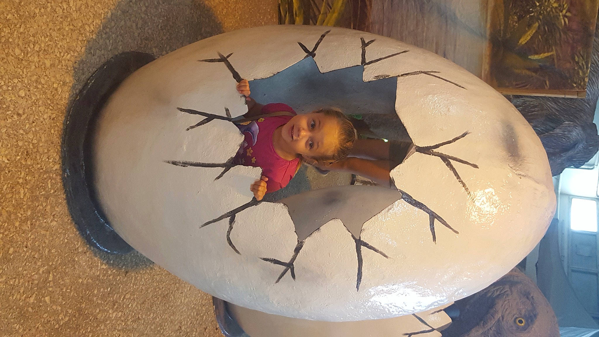 Elona participe au concours pour gagner de l'argent avec cette photo : arachnid, art, arthropod, carmine, ceramic, circle, dishware, fashion_accessory, glass, insect, invertebrate, joy, parasite, party_supply, person, pest, platter, porcelain, serveware, visual_arts