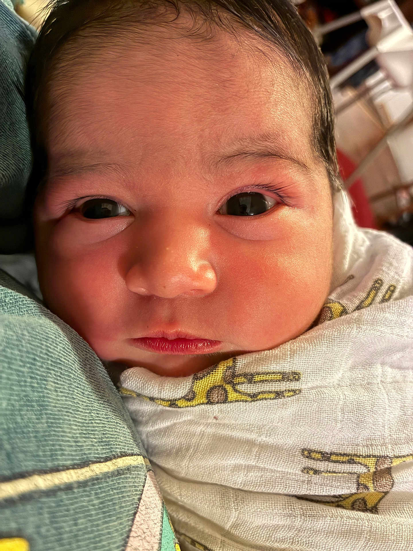 James is registered to the contest to win money with this photo: baby, newborn, face, swaddle, blanket, giraffe_print, closeup, infant, child, portrait, cute, skin, eyes, soft_light, indoors, warm_tone, human, head, expression, newborn_baby