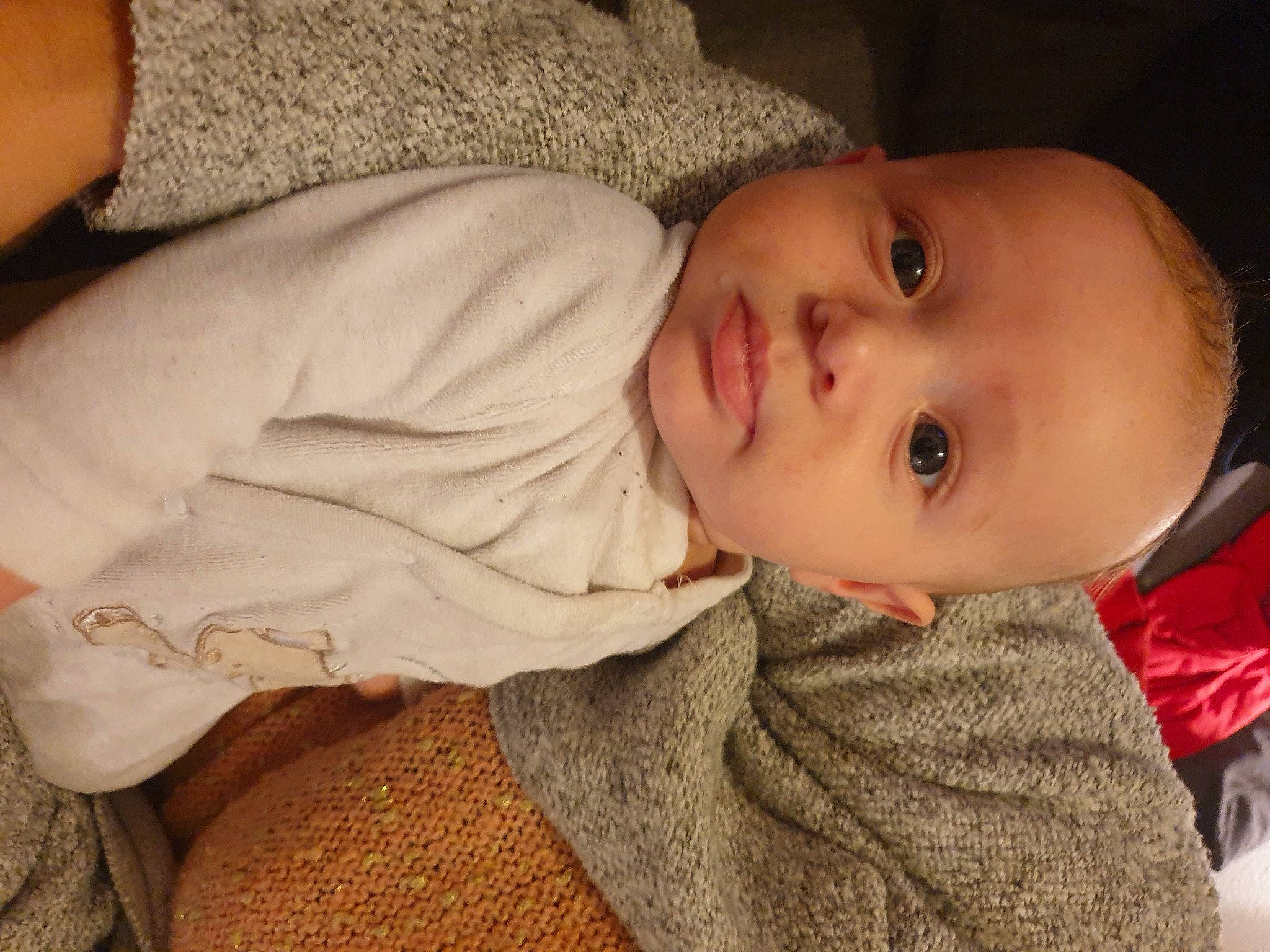 Kenzo participe au concours pour gagner de l'argent avec cette photo : baby, baby_toddler_clothing, cheek, child, chin, comfort, eye, eyebrow, eyelash, forehead, iris, lip, mouth, nose, person, sitting, skin, sleeve, toddler, tree