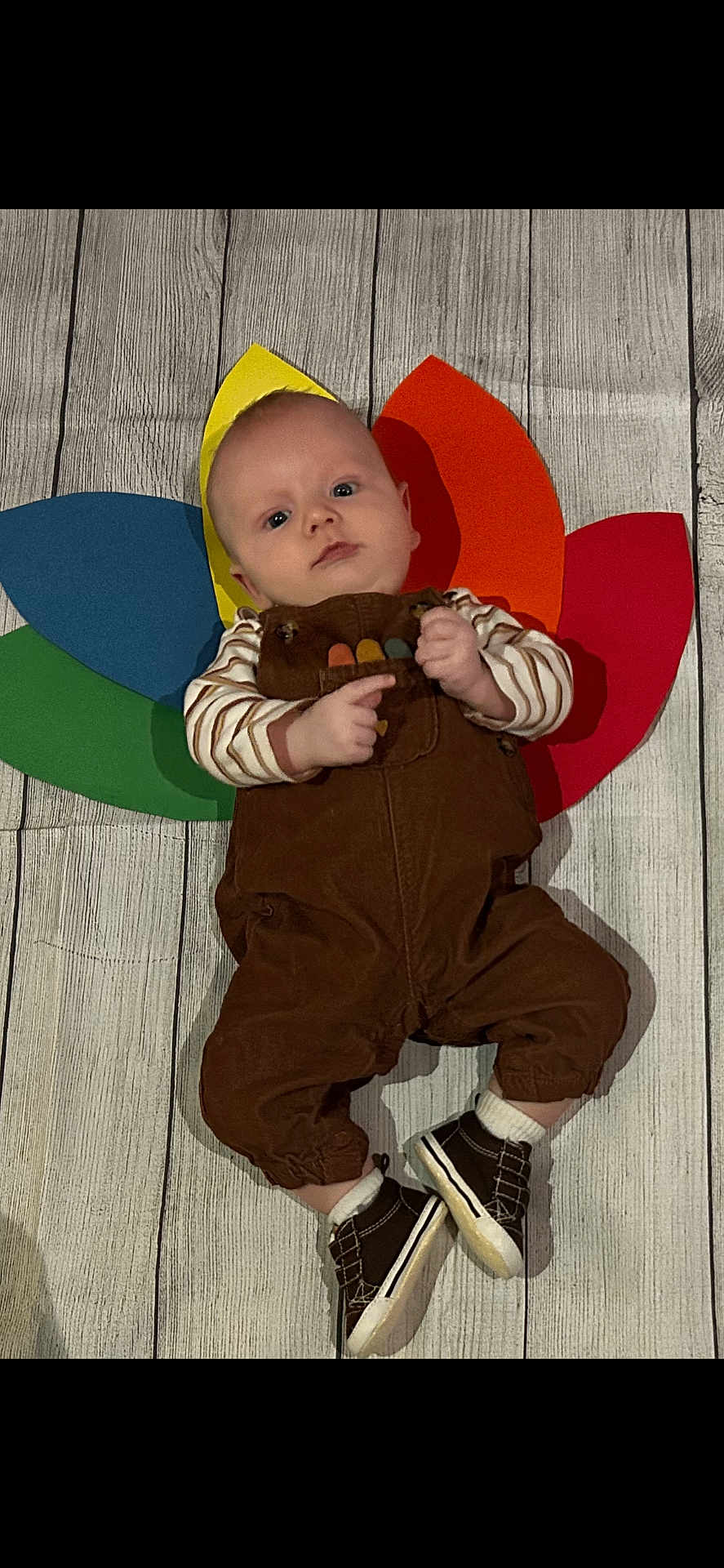 Cowen joined the competition — help win amazing prizes! baby, child, floor, wood_floor, overalls, striped_shirt, colorful_petals, paper, headwear, footwear, shoes, socks, lying_down, indoor, cute, portrait, person, infant, playful, background