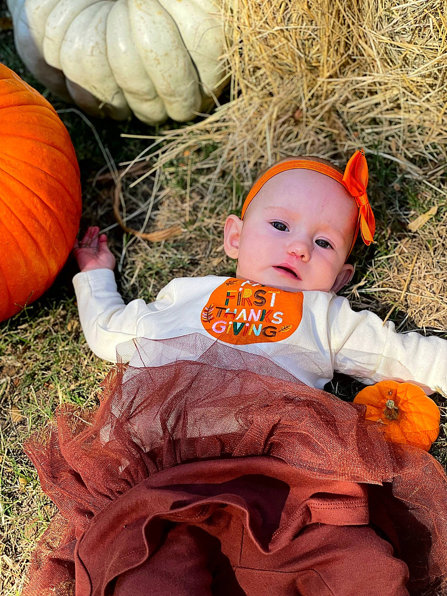 Emma Rose joined the competition — help win amazing prizes! baby_toddler_clothing, calabaza, child, cucurbita, doll, dress, fawn, gourd, grass, head, natural_foods, orange, people_in_nature, person, plant, pumpkin, squash, toy, vegetable, winter_squash