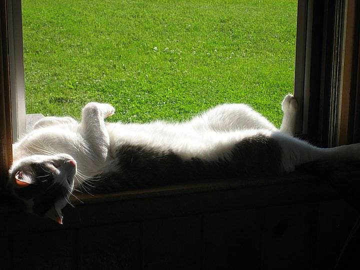 Toby is registered to the contest to win money with this photo: