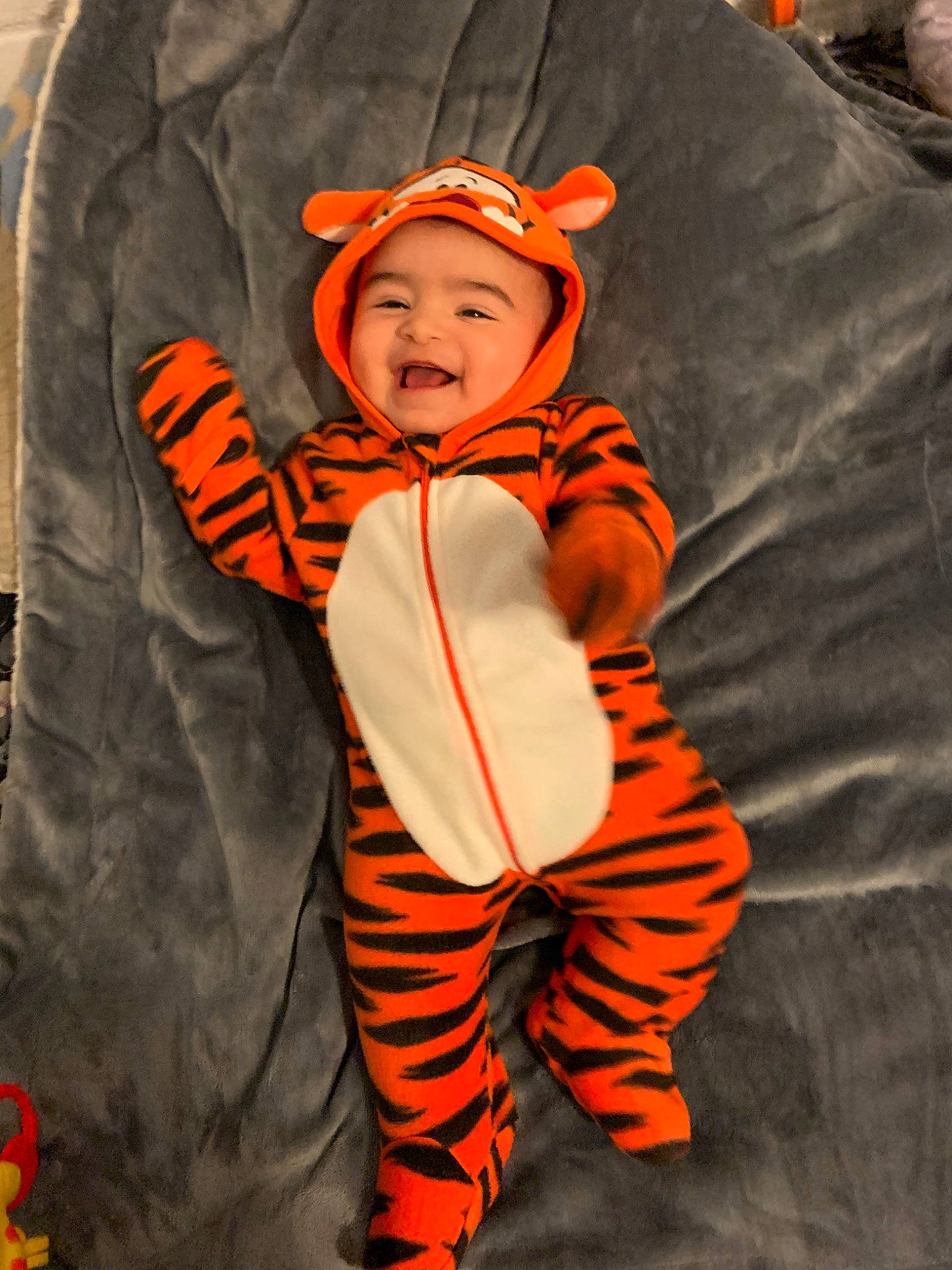 Halo is registered to the contest to win money with this photo: child, costume, felidae, headwear, orange, person, tiger, toddler