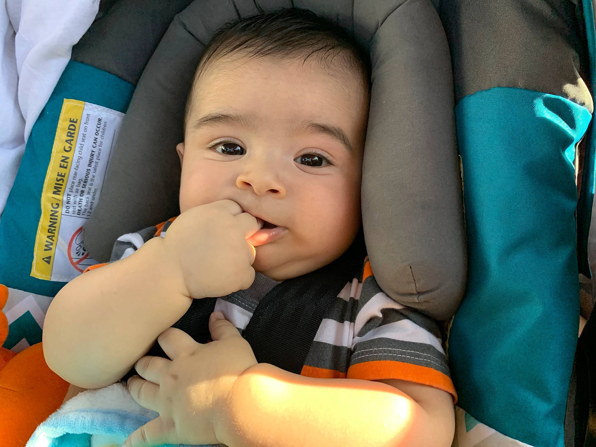 Halo is registered to the contest to win money with this photo: baby, baby_carriage, baby_in_car_seat, baby_products, car_seat, cheek, child, face, finger, hand, nose, person, product, skin, thumb, toddler