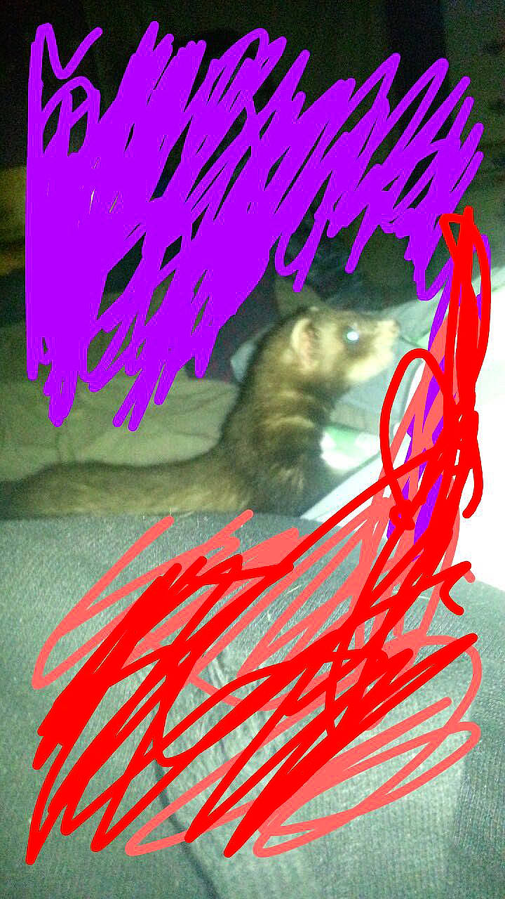 Stitch is registered to the contest to win money with this photo: art, carmine, electric_blue, fictional_character, font, gesture, graphic_design, graphics, illustration, magenta, modern_art, paint, painting, pattern, pink, visual_arts