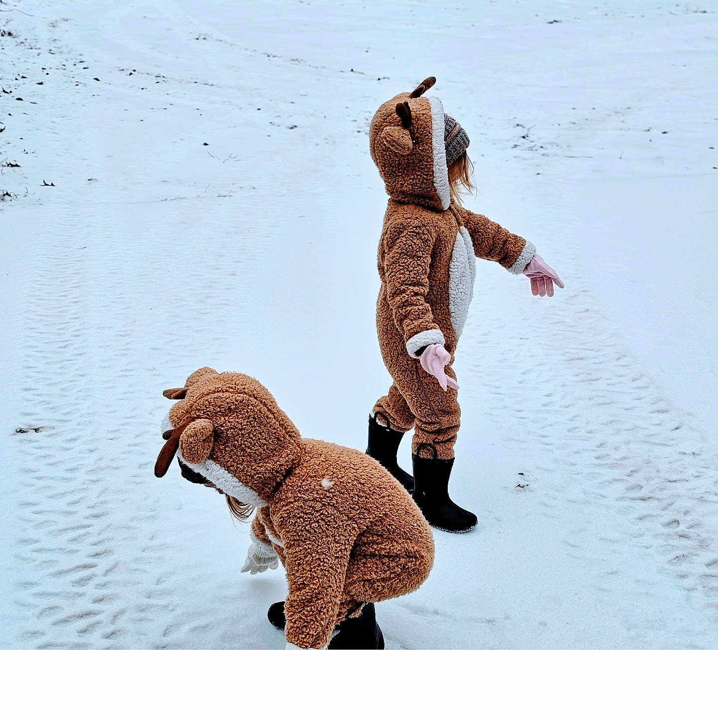 Cass And Jemm is registered to the contest to win money with this photo: animal, cap, child, clothing, coat, female, footwear, girl, glove, hat, machine, nature, outdoors, person, shoe, snow, snowballfight, toy, wheel, winter