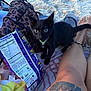 Draco is registered to the contest to win money with this photo: animal, beach, black_cat, close_up, curious, flip_flop, foot, kitten, leg, leopard_print_bag, outdoor, person, pet_collar, relaxation, resting, sand, snack_bag, summer, tattoo, towel