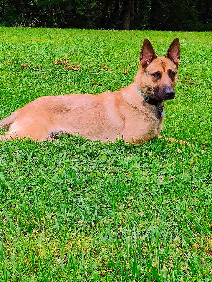 Athena