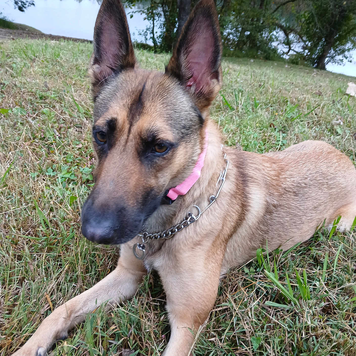 Athena