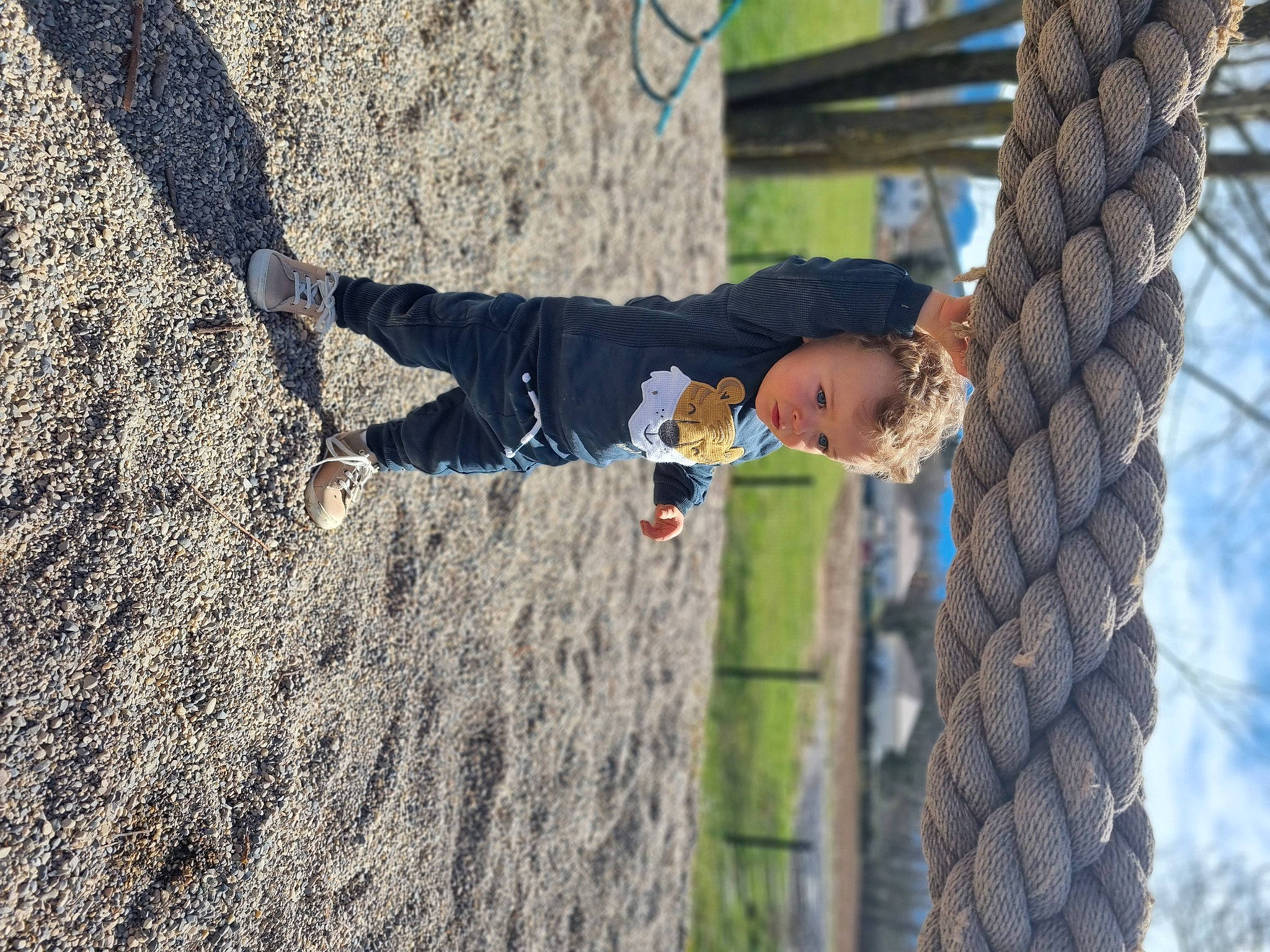 Natéo participe au concours pour gagner de l'argent avec cette photo : adventure, child, fence, fun, leisure, person, plant, recreation, rope, soil, sport_climbing, tree, trunk, vacation, wire_fencing, wood, woody_plant