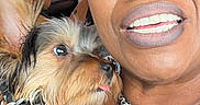 Whiskey is registered to the contest to win money with this photo: accessory, animal, black_hair, camouflage_clothing, car_interior, chain_necklace, closeup, cute, dog, friendship, glasses, happy, indoor, leather_seat, pet, portrait, seatbelt, small_dog, smile, woman