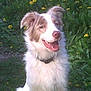 Rocky participe au concours pour gagner de l'argent avec cette photo :