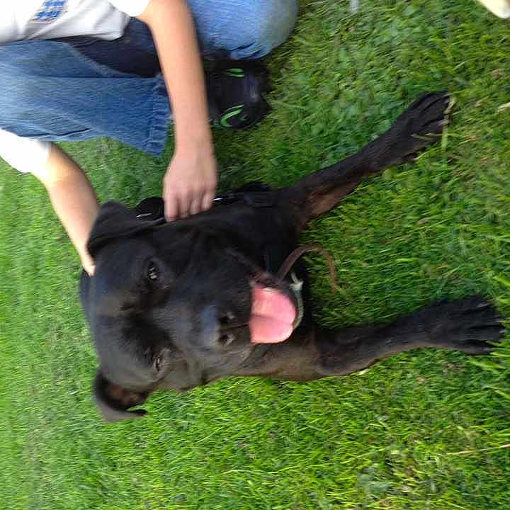 Vinnie is registered to the contest to win money with this photo: