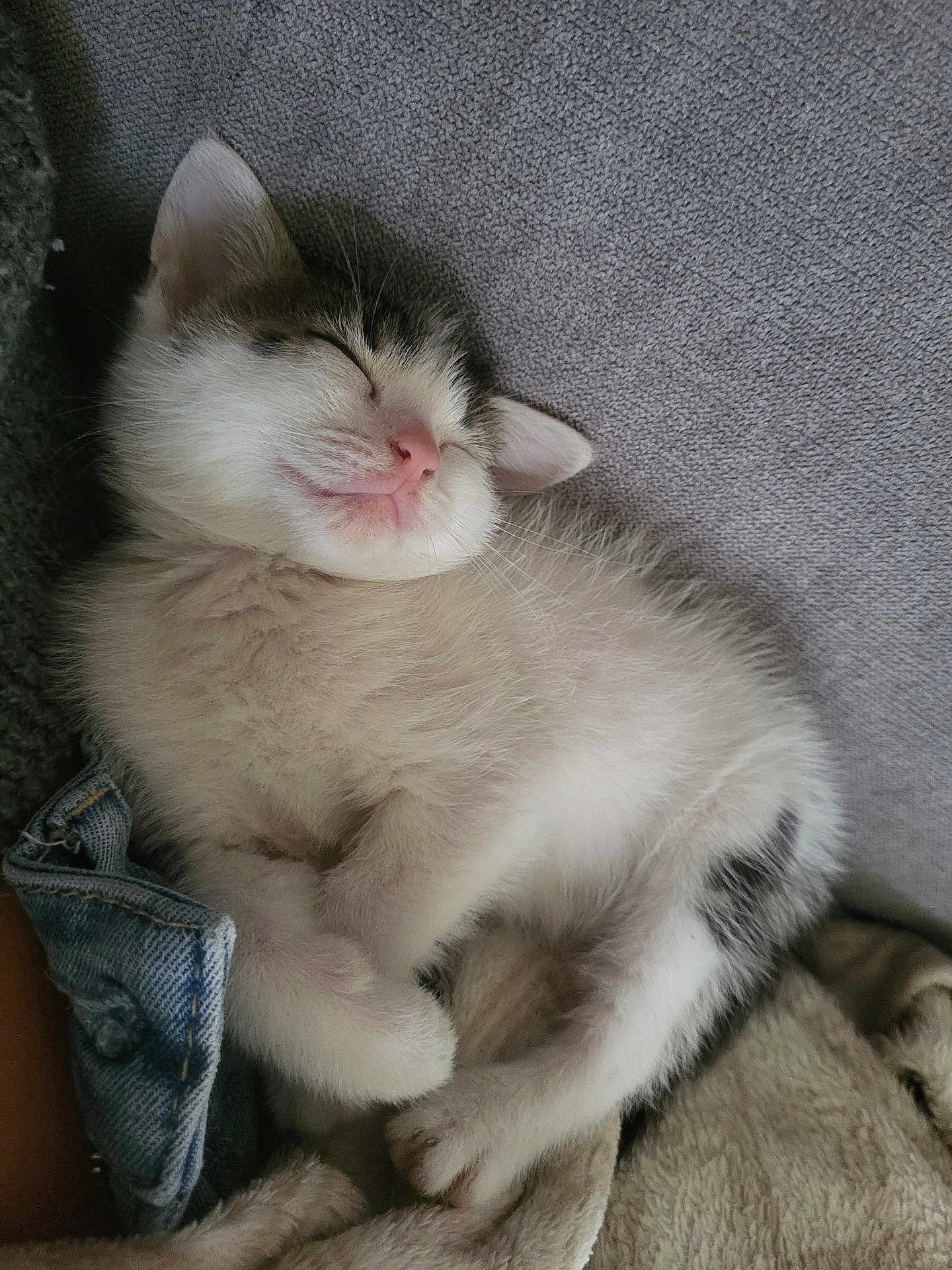 Nala