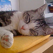 Marie participe au concours pour gagner de l'argent avec cette photo :