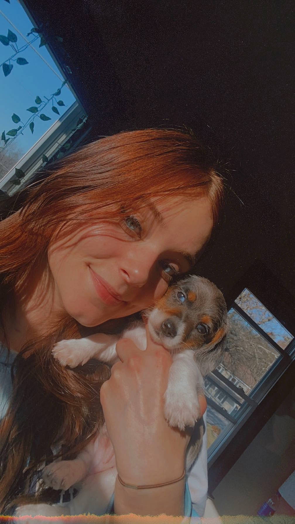 Bluey joined the competition — help win amazing prizes! companion_dog, dog, dog_breed, ear, eyelash, eyewear, fawn, felidae, fun, fur, happy, iris, nose, selfie, skin, small_to_medium_sized_cats, smile, toy, toy_dog, vacation