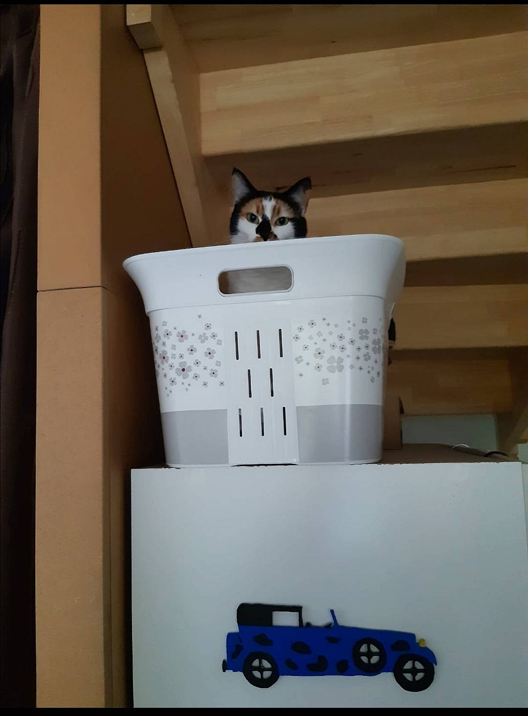 Himé participe au concours pour gagner de l'argent avec cette photo : box, car, electronic_device, technology