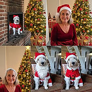 Scott a rejoint le concours — aidez-le/la à gagner de superbes lots ! christmas_tree, dog, festive, fireplace, gray_hair, holiday_decorations, indoor, jewelry, lights, ornaments, pet, portrait, red_clothing, reindeer_decor, santa_costume, santa_hat, seated, smiling, striped_chair, woman