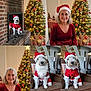 christmas_tree, dog, festive, fireplace, gray_hair, holiday_decorations, indoor, jewelry, lights, ornaments, pet, portrait, red_clothing, reindeer_decor, santa_costume, santa_hat, seated, smiling, striped_chair, woman