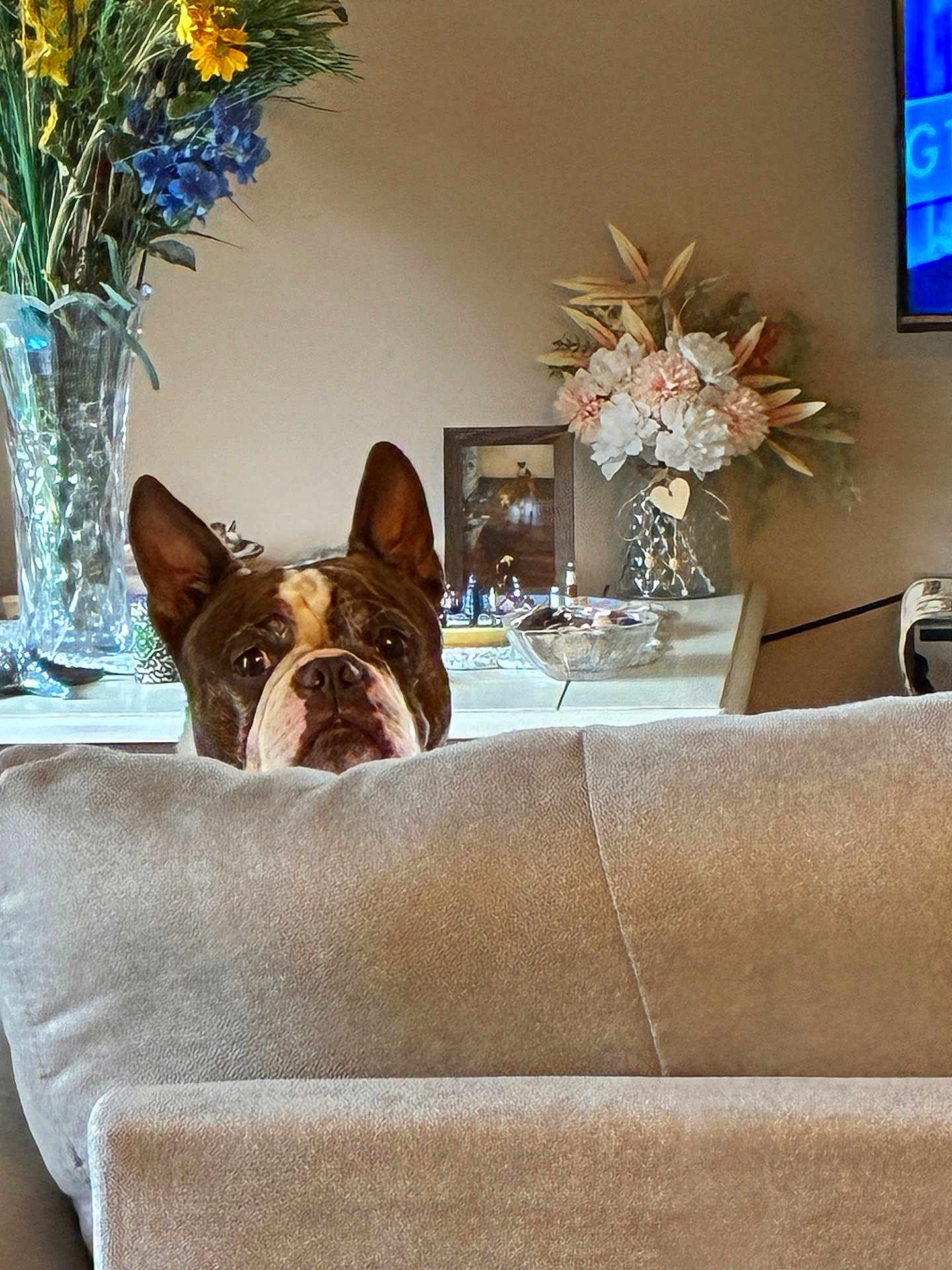 Tucker