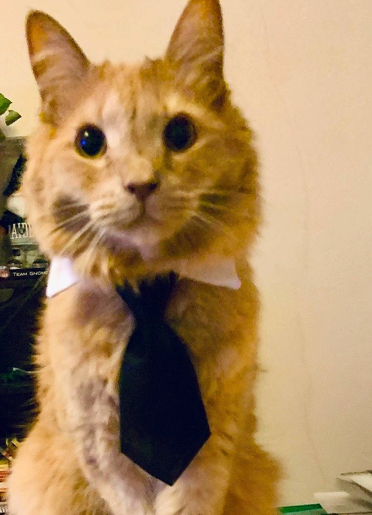 Rufus