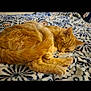 cat, ginger_cat, sleeping, curled_up, fluffy_tail, blanket, patterned_blanket, indoor, resting, cozy, feline, pet, animal, whiskers, ears, paws, fur, cute, relaxation, nap