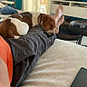 dog, sleeping, person, couch, living_room, pillow, blanket, coffee_table, foot, shorts, orange_shirt, modern_interior, curtains, relaxation, pet, indoor, furniture, home, resting, nap