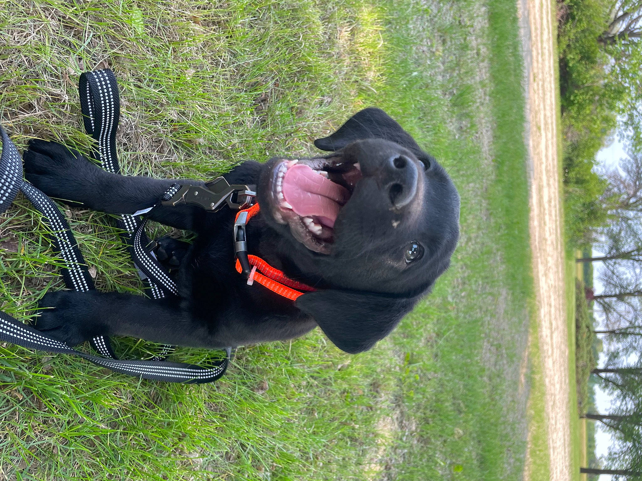 Hemi joined the competition — help win amazing prizes! bicycle_wheel, bicycles_equipment_and_supplies, boot, diving_equipment, dry_suit, grass, headgear, knee, leisure, luggage_and_bags, outdoor_shoe, personal_protective_equipment, plant, recreation, sports_equipment, sports_gear, sportswear, tree, vehicle