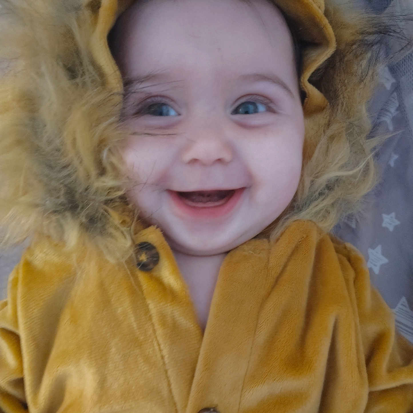 Kefira is registered to the contest to win money with this photo: baby, child, smiling, face, hood, costume, lion_costume, fur, yellow_clothing, cute, happy, portrait, infant, buttoned_jacket, indoors, closeup, wide_eyes, playing, young_child, adorable