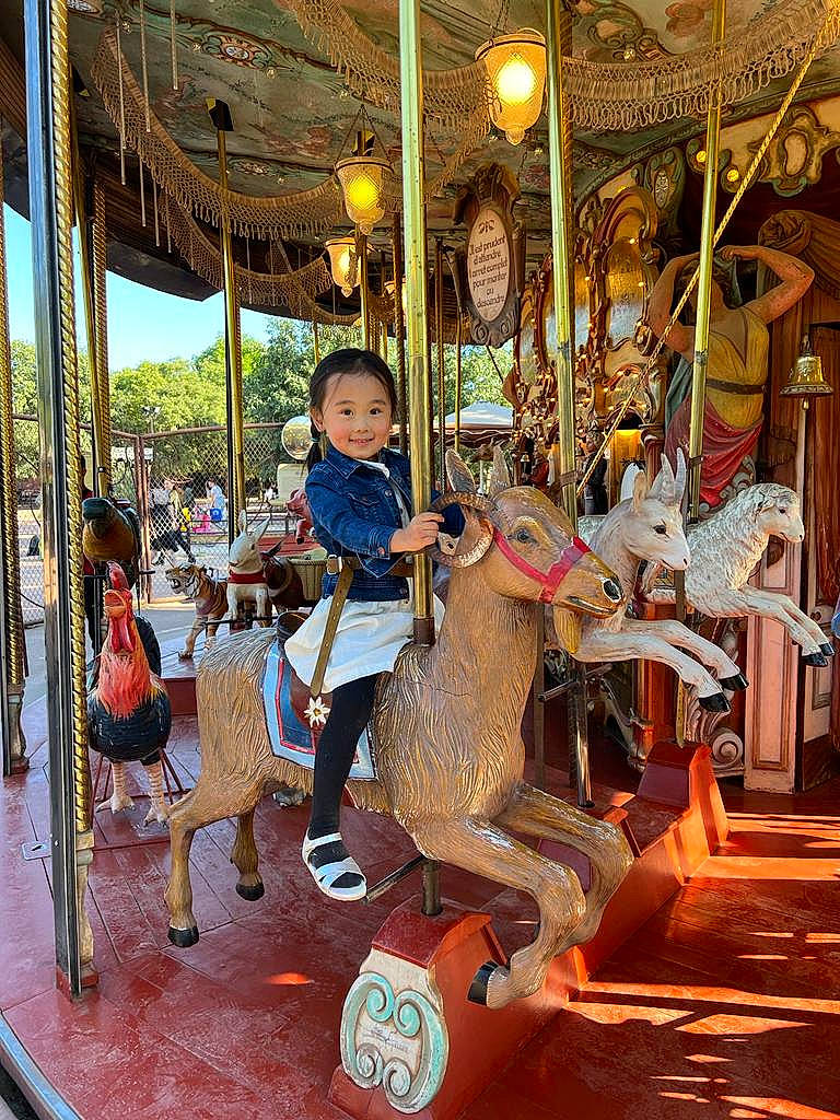 Emma participe au concours pour gagner de l'argent avec cette photo : amusement_park, amusement_ride, carousel, child, city, event, fair, fun, horse, horse_tack, joy, leisure, nonbuilding_structure, person, playground, recreation, toddler, travel, tree, vacation