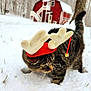 cat, tabby_cat, snow, red_barn, winter, outdoor, animal, pet, holiday_hat, antlers, festive, nature, tree, grass, cold, mammal, fur, whiskers, walking, daylight