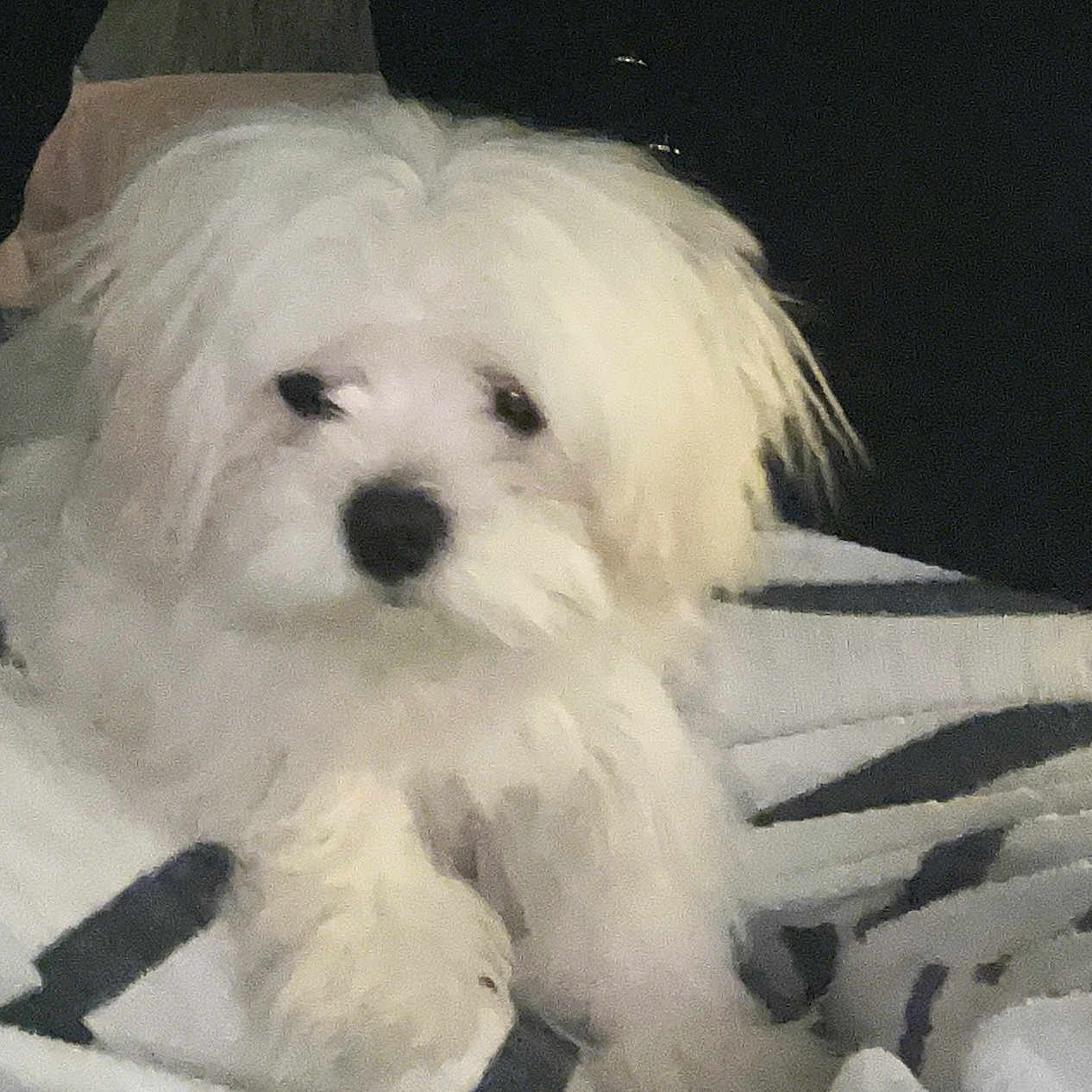 Yuki