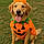 Oaklie Mae