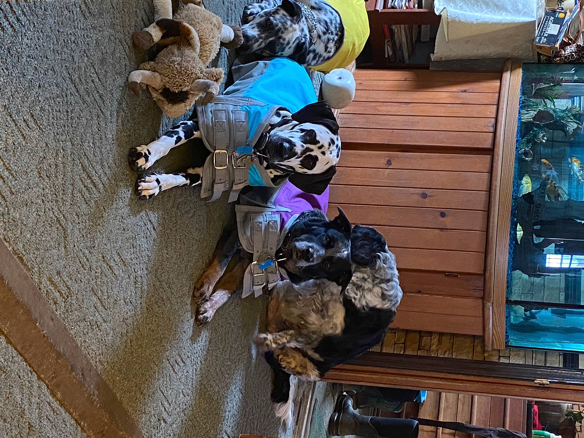 Gibson is registered to the contest to win money with this photo: art, carmine, concrete, facade, hat, personal_protective_equipment, plastic, recreation, room, sculpture, visual_arts, wood, world