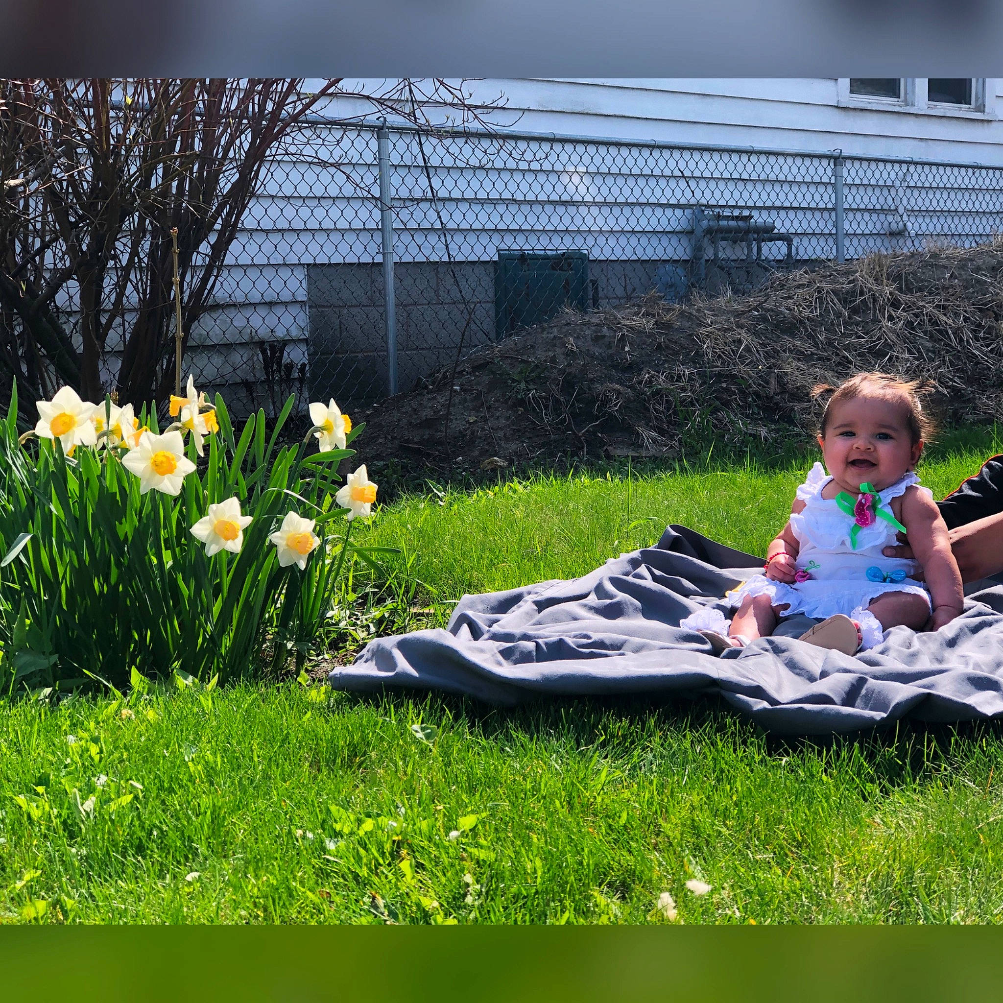 Esperanza joined the competition — help win amazing prizes! botany, child, flower, garden, grass, grass_family, lawn, leaf, leisure, meadow, person, plant, plant_community, recreation, sitting, spring, summer, table, vacation, wildflower