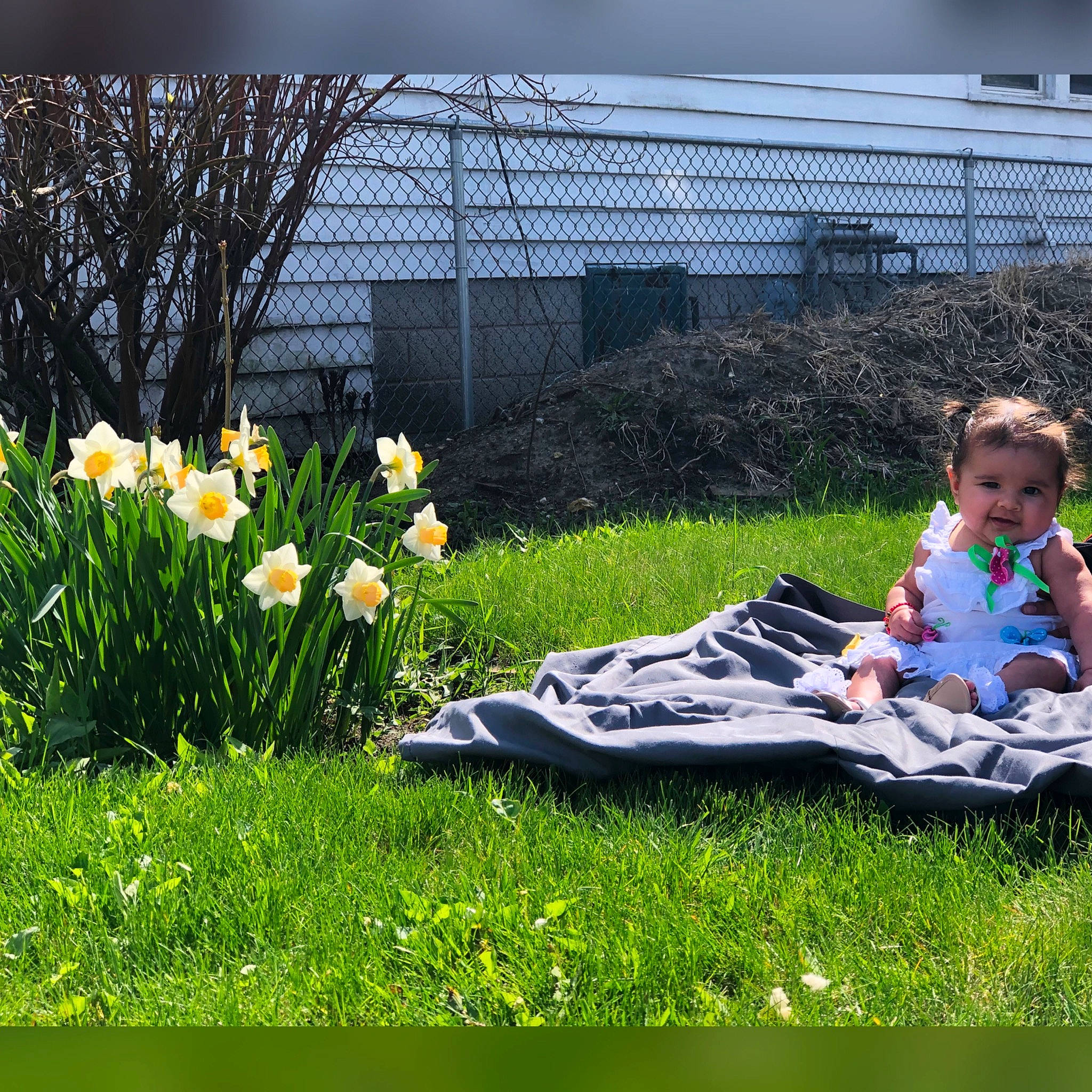 Esperanza is registered to the contest to win money with this photo: botany, child, flower, fun, garden, grass, grass_family, landscape, landscaping, lawn, leaf, leisure, meadow, person, plant, plant_community, shrub, spring, tree, wildflower