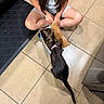 Mochi is registered to the contest to win money with this photo: child, kitten, cat, box, floor, tile, black_cat, tabby_cat, collar, indoors, curious, sitting, playful, young_girl, hair, casual_clothing, shorts, tshirt, home, pet
