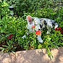 Roxie joined the competition — help win amazing prizes! animal, colorful, curious, cute, daylight, dog, flowerbed, flowers, garden, greenery, ground, leaf, nature, outdoor, pet, plants, puppy, resting, sunlight, young