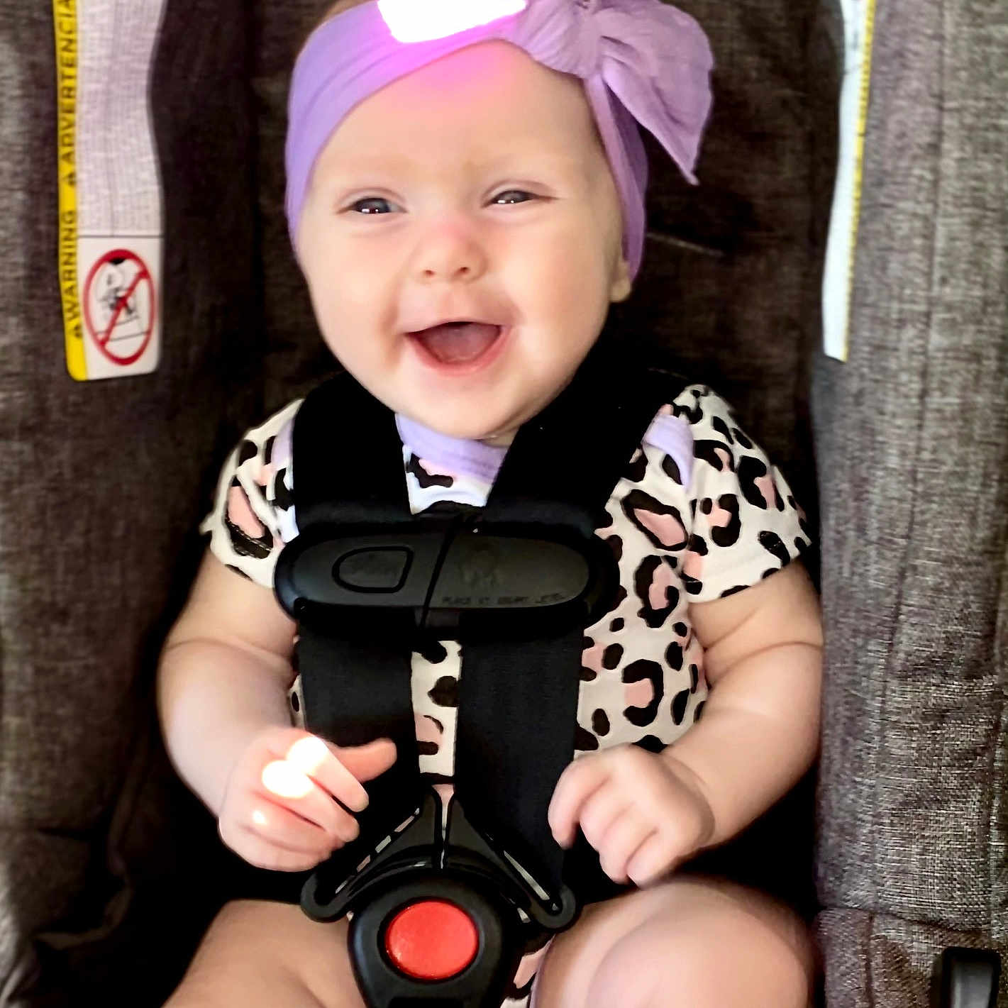Azlynn joined the competition — help win amazing prizes! baby, child, infant, smiling, happy, portrait, car_seat, harness, headband, bow, purple, leopard_print, outdoor, vehicle, safety, seated, face, hands, bright, photography