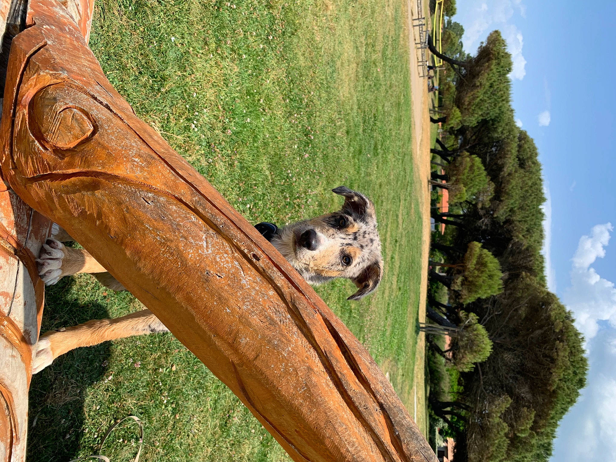 Guss a rejoint le concours — aidez-le/la à gagner de superbes lots ! automotive_wheel_system, bench, chainsaw_carving, cloud, grass, human_leg, landscape, leisure, metal, motor_vehicle, plant, plant_stem, rust, sky, terrestrial_animal, tree, trunk, wildlife, wood, working_animal