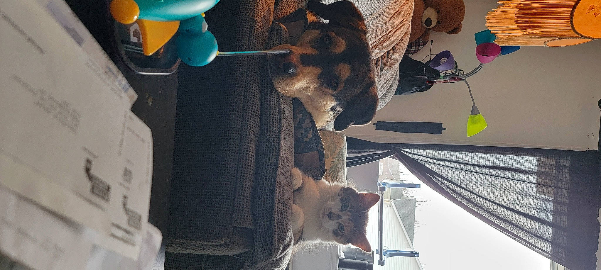 Marilyn Monroe joined the competition — help win amazing prizes! art, balloon, dog, fawn, fun, fur, machine, plastic, room, tail, tree, visual_arts