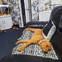Millie is registered to the contest to win money with this photo: black_leather, carpet, couch, cozy, dog, door, fish_tank, furniture, home, indoor, leopard_print_blanket, living_room, pet, pillow, pink_collar, relaxed, resting, sleeping, toys, wallpaper