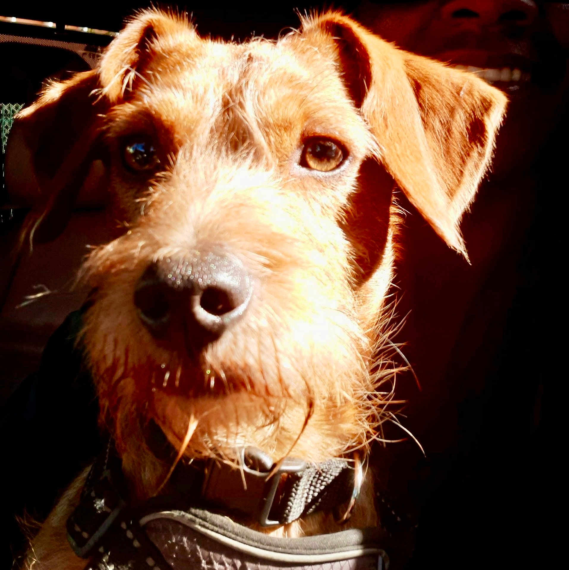 Max