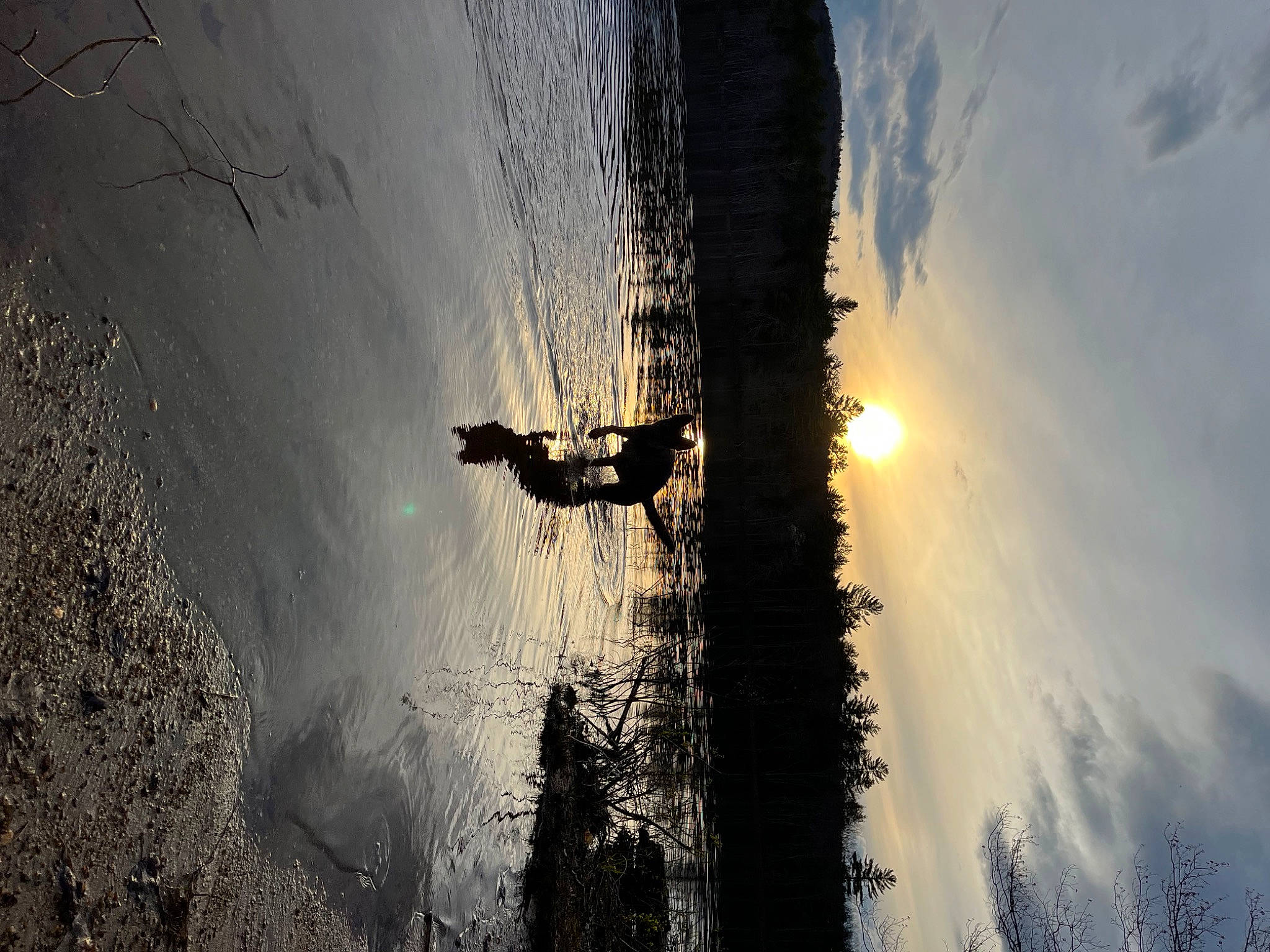 Juneau is registered to the contest to win money with this photo: atmosphere, atmospheric_phenomenon, body_of_water, branch, cloud, freezing, geological_phenomenon, landscape, morning, plant, sky, slope, sunlight, tints_and_shades, tree, trunk, water, watercourse, wheel, wood