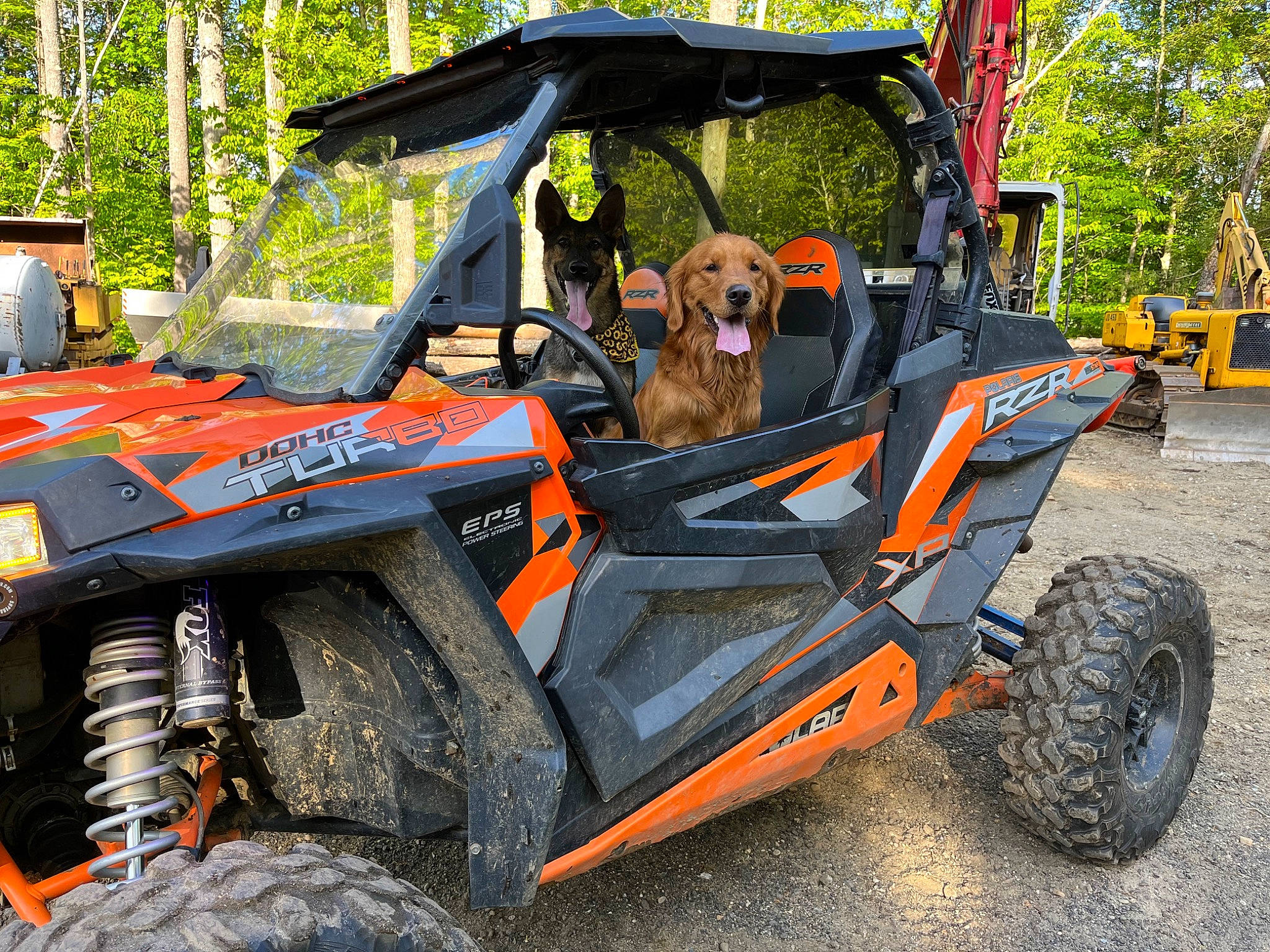 Leeroy is registered to the contest to win money with this photo: automotive_design, automotive_exterior, automotive_tire, automotive_wheel_system, bumper, car, dog, fender, hood, motor_vehicle, off_road_racing, plant, rim, tire, tread, tree, truck, truggy, vehicle, wheel