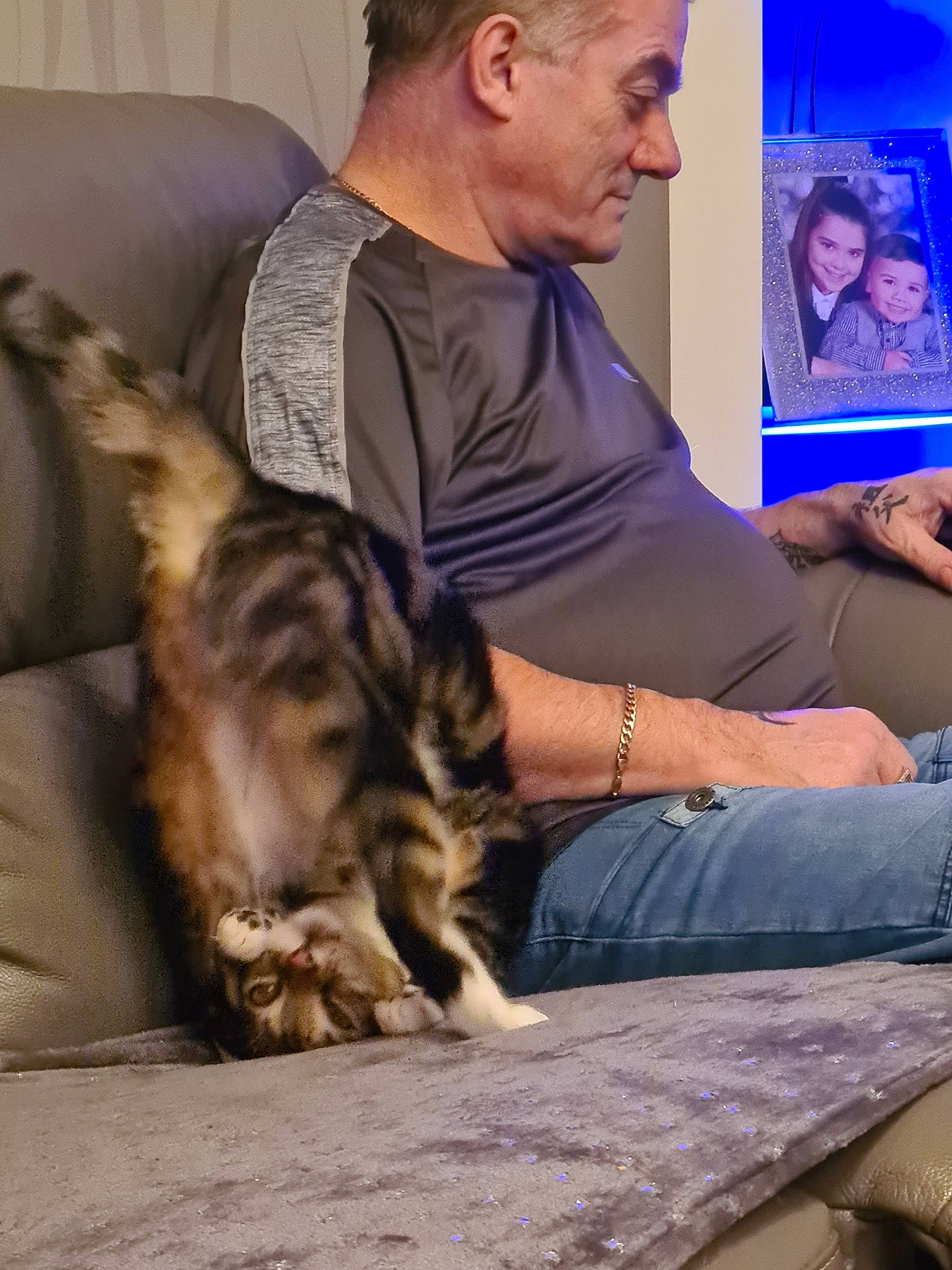 Homer joined the competition — help win amazing prizes! beard, carnivore, cat, comfort, conversation, couch, domestic_short_haired_cat, event, eye, felidae, fun, fur, hair, head, lap, room, sitting, small_to_medium_sized_cats, t_shirt, whiskers