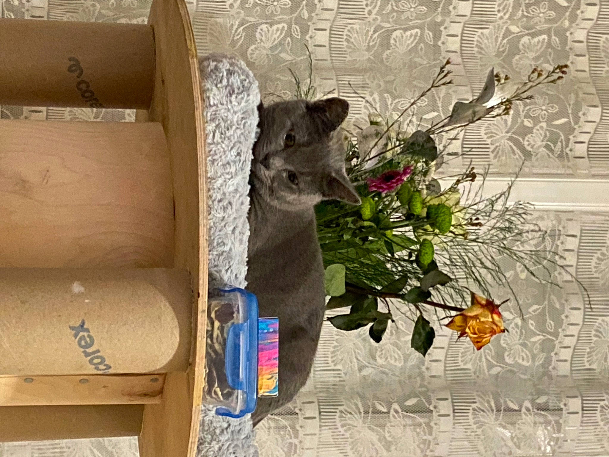 Spirite participe au concours pour gagner de l'argent avec cette photo : artificial_flower, building, cut_flowers, door, facade, floral_design, flower, flower_arranging, flowerpot, house, houseplant, plant, room, shelf, shelving, still_life_photography, textile, twig, window, wood