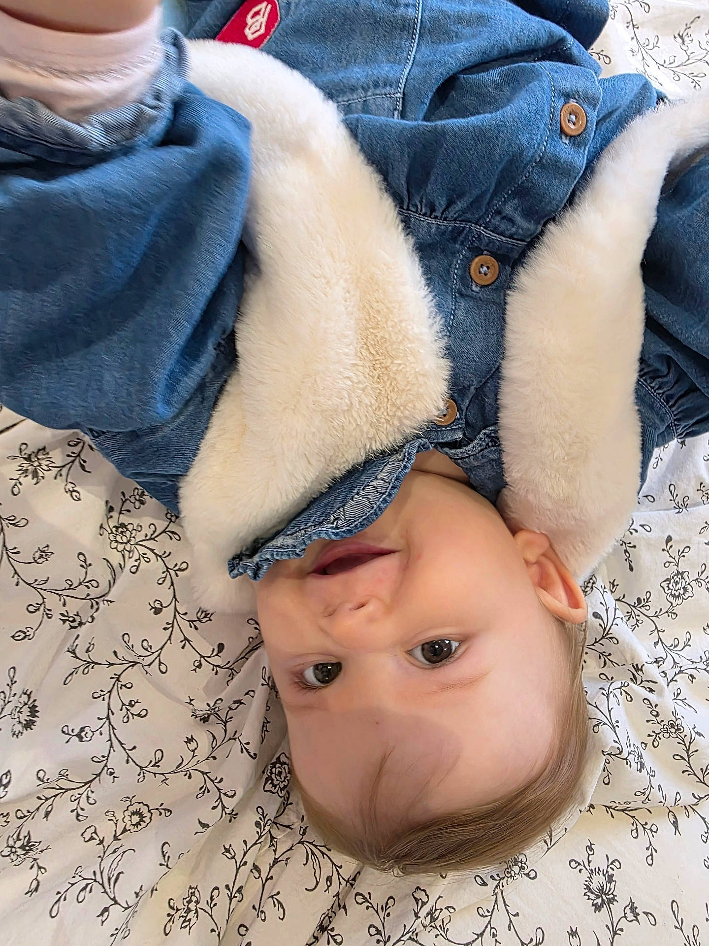 Stella participe au concours pour gagner de l'argent avec cette photo : baby, blanket, child, clothing, cute, denim_jacket, eyes, face, floral_pattern, fur_trim, happy, head, indoor, infant, lying_down, mouth, person, portrait, skin, smiling